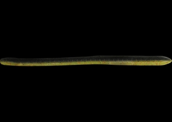 Imakatsu Eel Crawler (Imaeba)